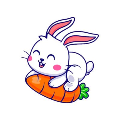 Full Grooming Rabbit
