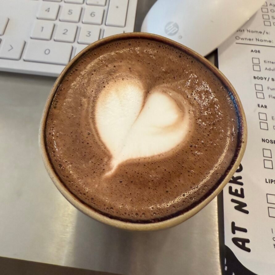 Mocha - Hot